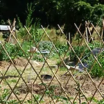 Au Son Du Jardin Poitevin Bed & Breakfast Saint-Laurs