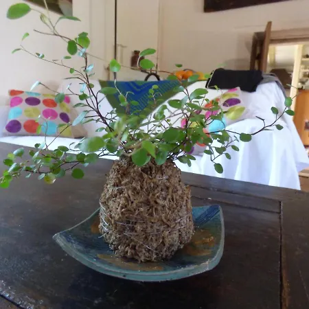 Au Son Du Jardin Poitevin B&B