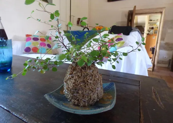 Au Son Du Jardin Poitevin Bed & Breakfast